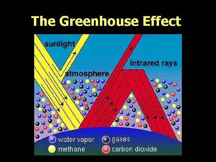 The Greenhouse Effect 