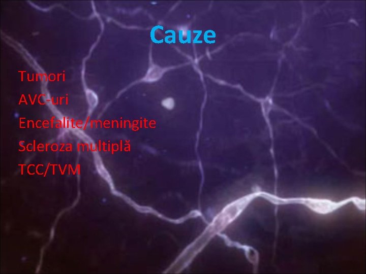 Cauze Tumori AVC-uri Encefalite/meningite Scleroza multiplă TCC/TVM 