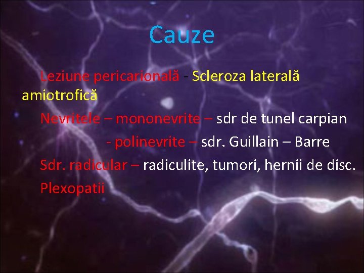 Cauze Leziune pericarională - Scleroza laterală amiotrofică Nevritele – mononevrite – sdr de tunel