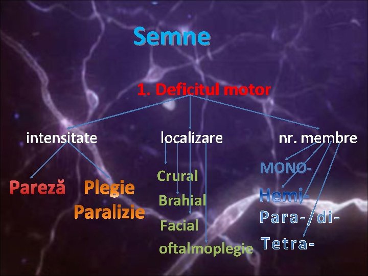 Semne 1. Deficitul motor intensitate Pareză localizare Crural Brahial Facial oftalmoplegie nr. membre MONO-