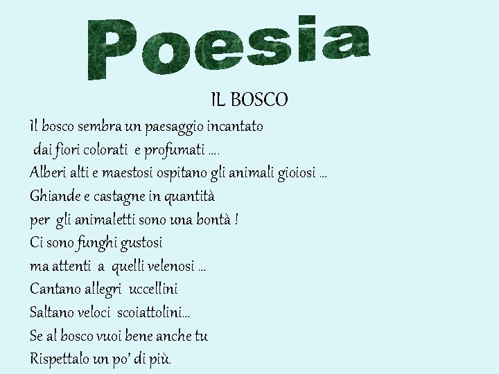 IL BOSCO Il bosco sembra un paesaggio incantato dai fiori colorati e profumati ….