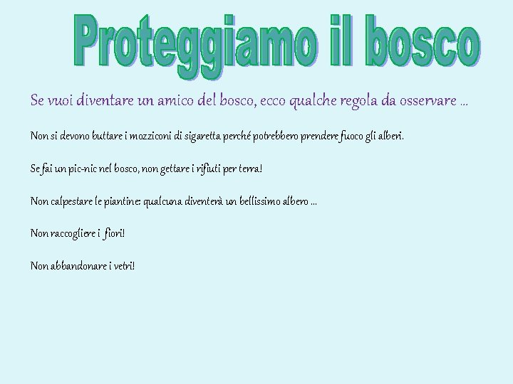 Se vuoi diventare un amico del bosco, ecco qualche regola da osservare … Non