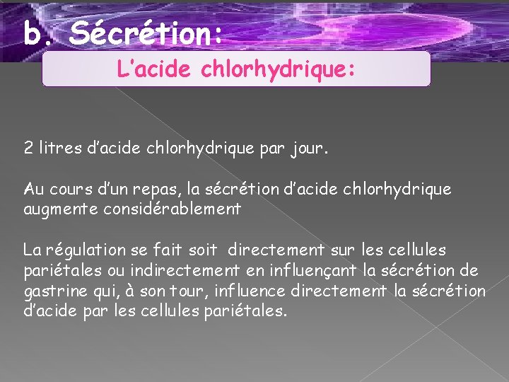 b. Sécrétion: L’acide chlorhydrique: 2 litres d’acide chlorhydrique par jour. Au cours d’un repas,