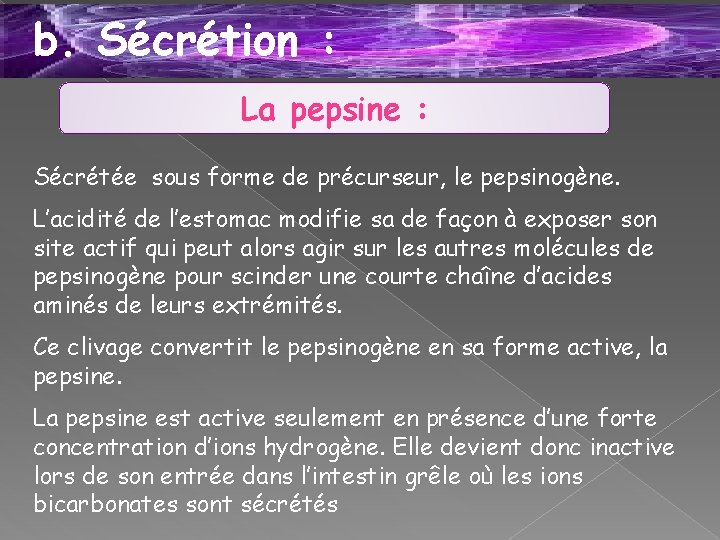 b. Sécrétion : La pepsine : Sécrétée sous forme de précurseur, le pepsinogène. L’acidité