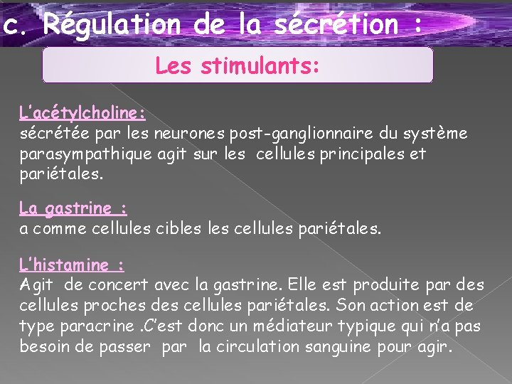 c. Régulation de la sécrétion : Les stimulants: L’acétylcholine: sécrétée par les neurones post-ganglionnaire