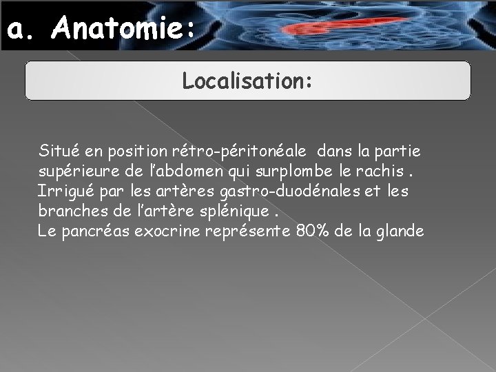 a. Anatomie: Localisation: Situé en position rétro-péritonéale dans la partie supérieure de l’abdomen qui