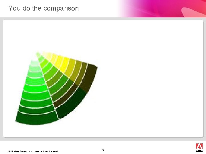 You do the comparison 2006 Adobe Systems Incorporated. All Rights Reserved. 48 