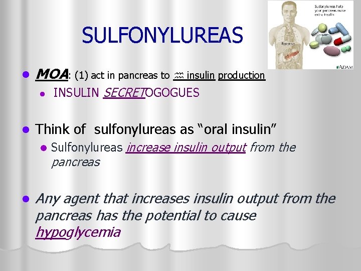 SULFONYLUREAS l MOA: (1) act in pancreas to insulin production l l Think of
