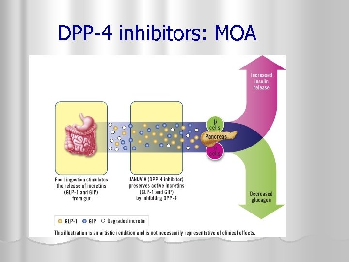 DPP-4 inhibitors: MOA 