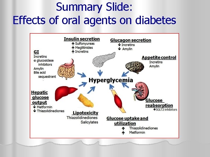 Summary Slide: Effects of oral agents on diabetes 