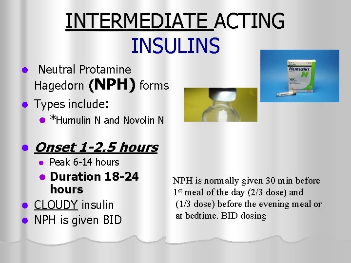 INTERMEDIATE ACTING INSULINS l l l Neutral Protamine Hagedorn (NPH) forms Types include: l