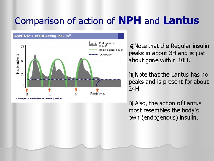 Comparison of action of NPH and Lantus Note that the Regular insulin peaks in