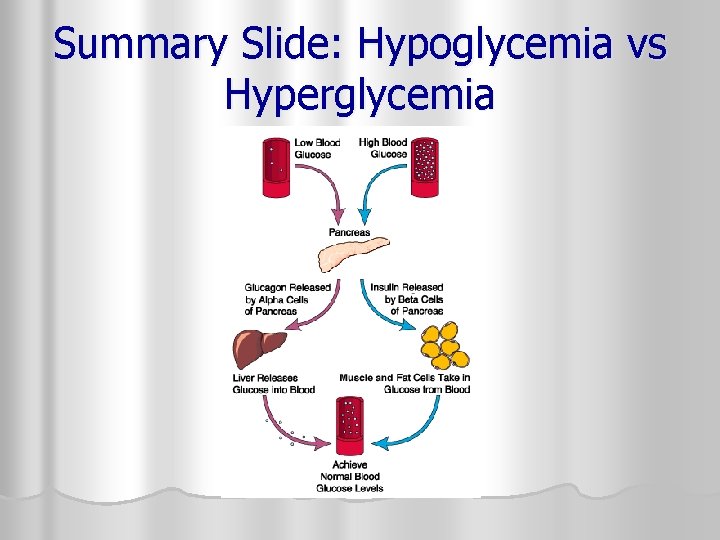 Summary Slide: Hypoglycemia vs Hyperglycemia 