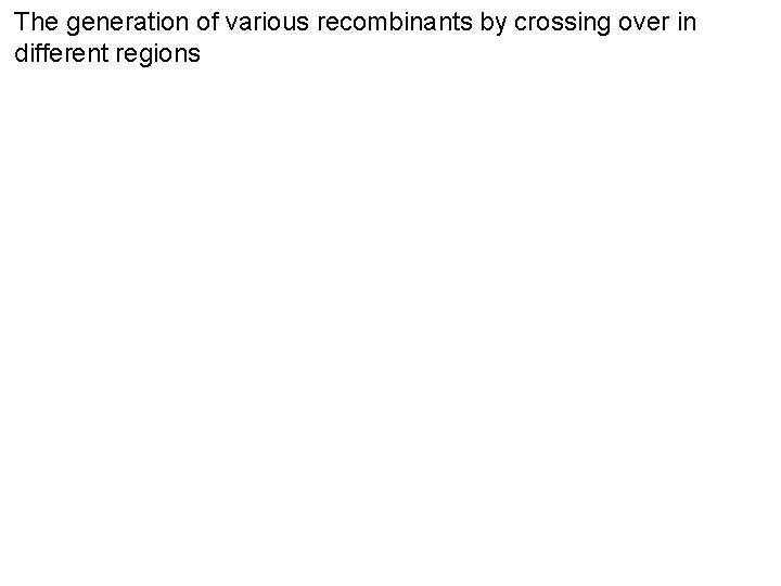 The generation of various recombinants by crossing over in different regions 