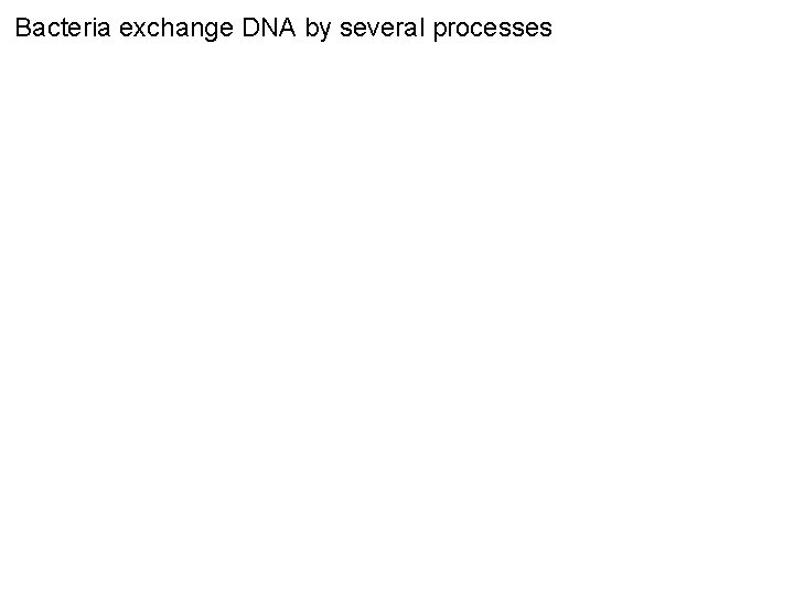 Bacteria exchange DNA by several processes 
