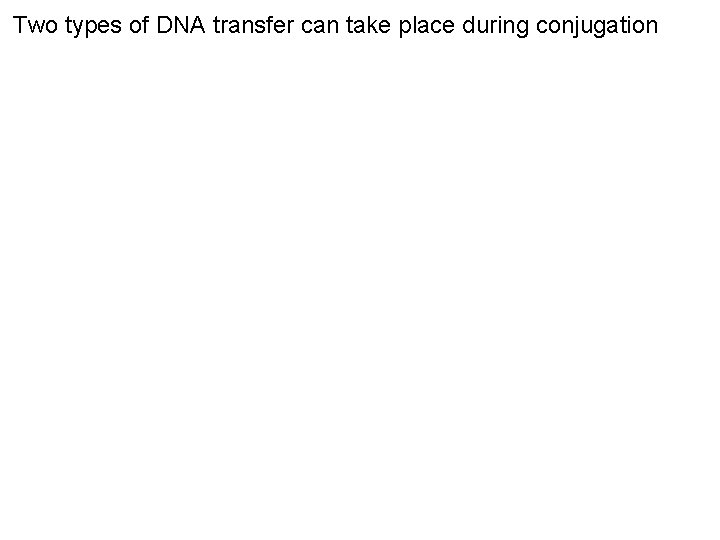 Two types of DNA transfer can take place during conjugation 