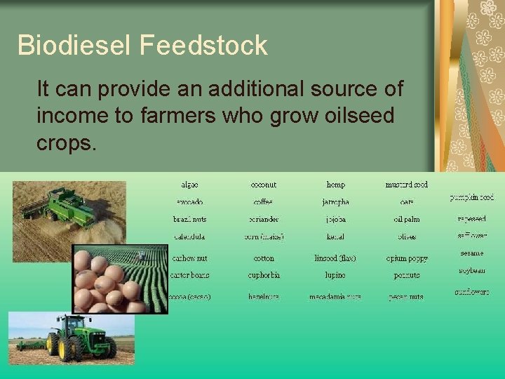 Biodiesel Feedstock It can provide an additional source of income to farmers who grow