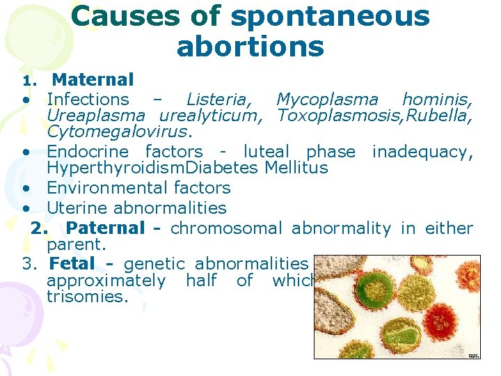 Causes of spontaneous abortions Maternal • Infections – Listeria, Mycoplasma hominis, Ureaplasma urealyticum, Toxoplasmosis,