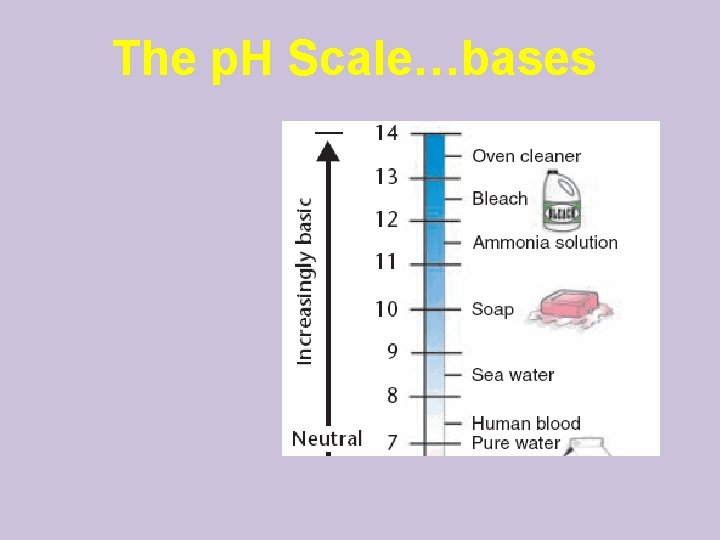 The p. H Scale…bases 