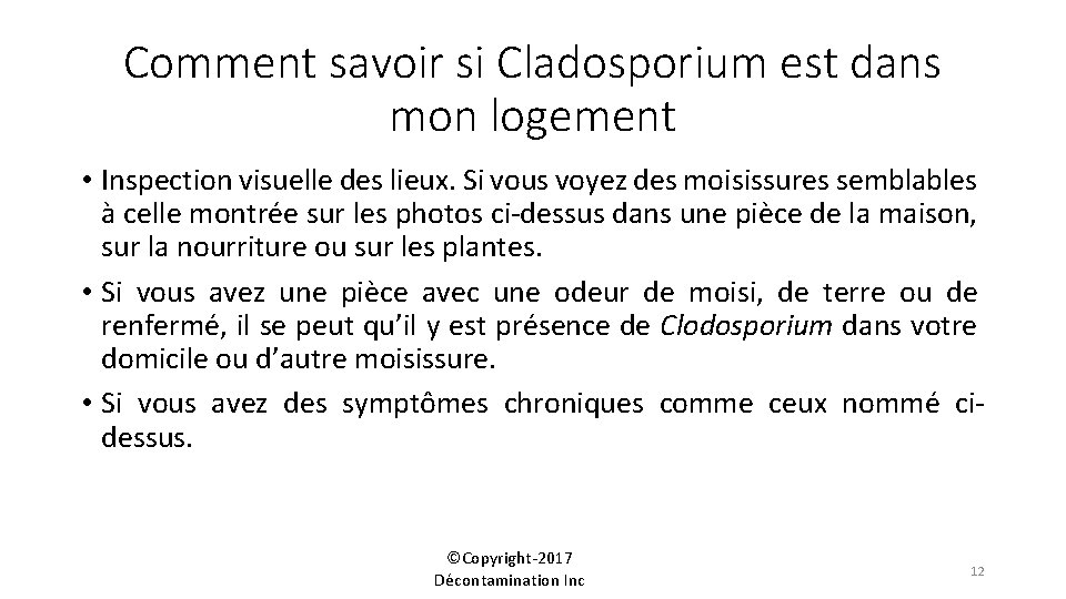 Comment savoir si Cladosporium est dans mon logement • Inspection visuelle des lieux. Si