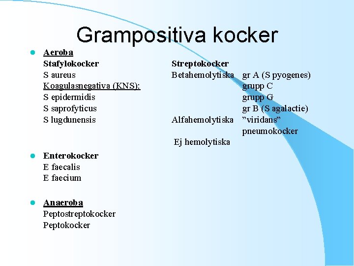 Grampositiva kocker l Aeroba Stafylokocker S aureus Koagulasnegativa (KNS): S epidermidis S saprofyticus S