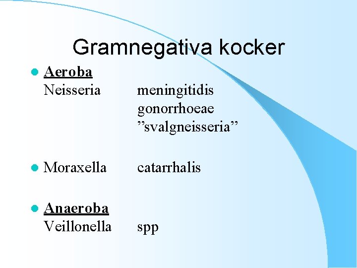 Gramnegativa kocker l Aeroba Neisseria meningitidis gonorrhoeae ”svalgneisseria” l Moraxella catarrhalis l Anaeroba Veillonella