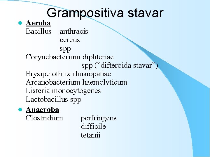 l l Grampositiva stavar Aeroba Bacillus anthracis cereus spp Corynebacterium diphteriae spp (”difteroida stavar”)