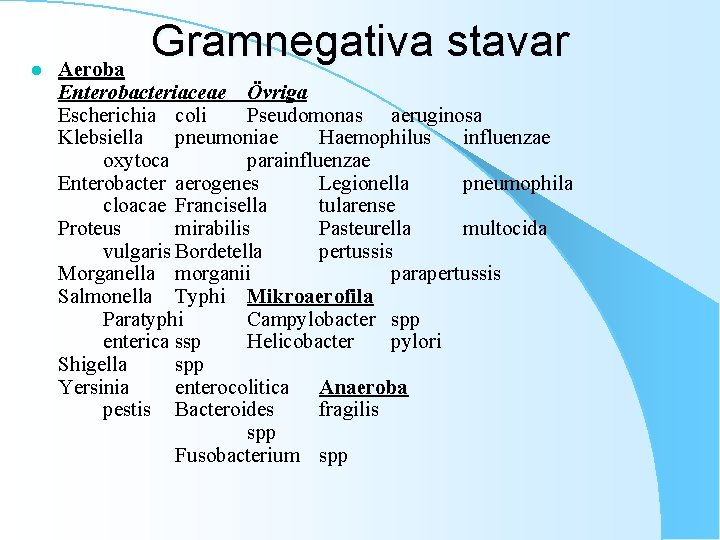 l Gramnegativa stavar Aeroba Enterobacteriaceae Övriga Escherichia coli Pseudomonas aeruginosa Klebsiella pneumoniae Haemophilus influenzae