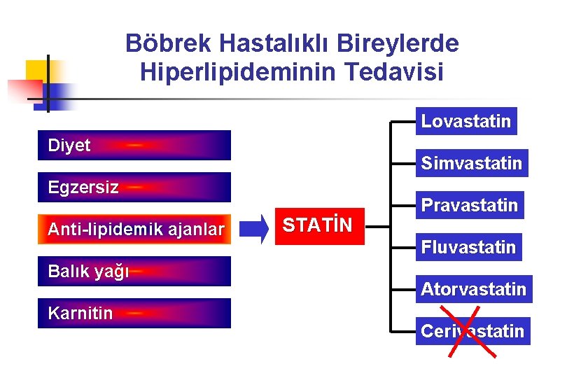 Böbrek Hastalıklı Bireylerde Hiperlipideminin Tedavisi Lovastatin Diyet Simvastatin Egzersiz Anti-lipidemik ajanlar Balık yağı Karnitin