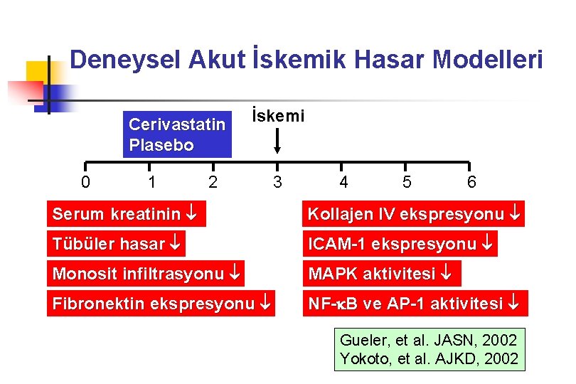 Deneysel Akut İskemik Hasar Modelleri Cerivastatin Plasebo 0 1 İskemi 2 3 4 5