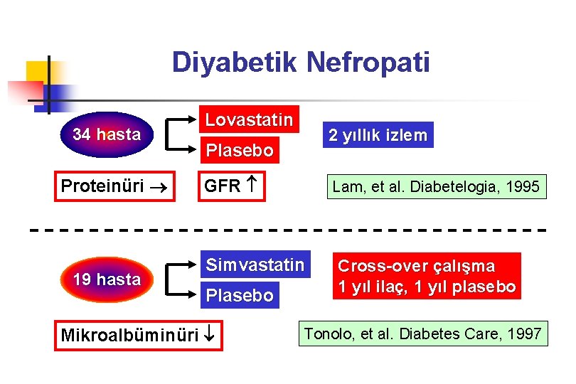 Diyabetik Nefropati 34 hasta Proteinüri 19 hasta Lovastatin 2 yıllık izlem Plasebo GFR Lam,