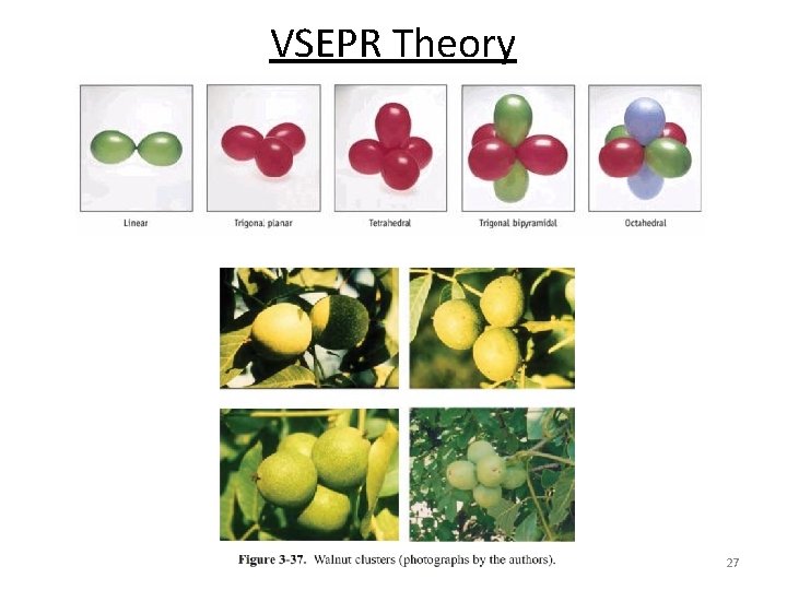 VSEPR Theory 27 