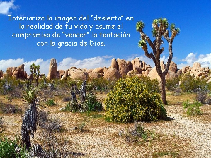 Interioriza la imagen del “desierto” en la realidad de tu vida y asume el