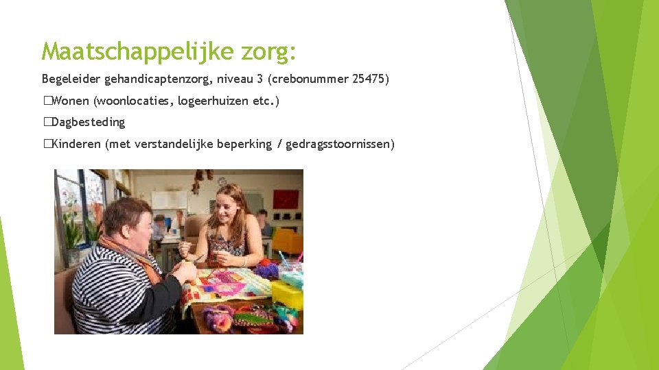 Maatschappelijke zorg: Begeleider gehandicaptenzorg, niveau 3 (crebonummer 25475) �Wonen (woonlocaties, logeerhuizen etc. ) �Dagbesteding