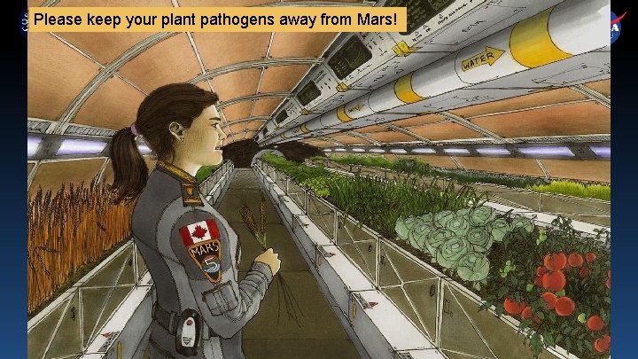 Please keep your plant pathogens away from Mars! 