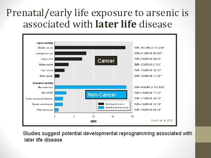 Prenatal/early life exposure to arsenic is associated with later life disease Cancer Non-Cancer Smith Prenatal/early life exposure to arsenic is associated with later life disease Cancer Non-Cancer Smith