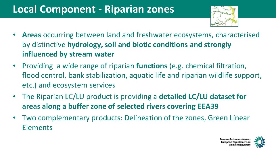 Local Component - Riparian zones • Areas occurring between land freshwater ecosystems, characterised by