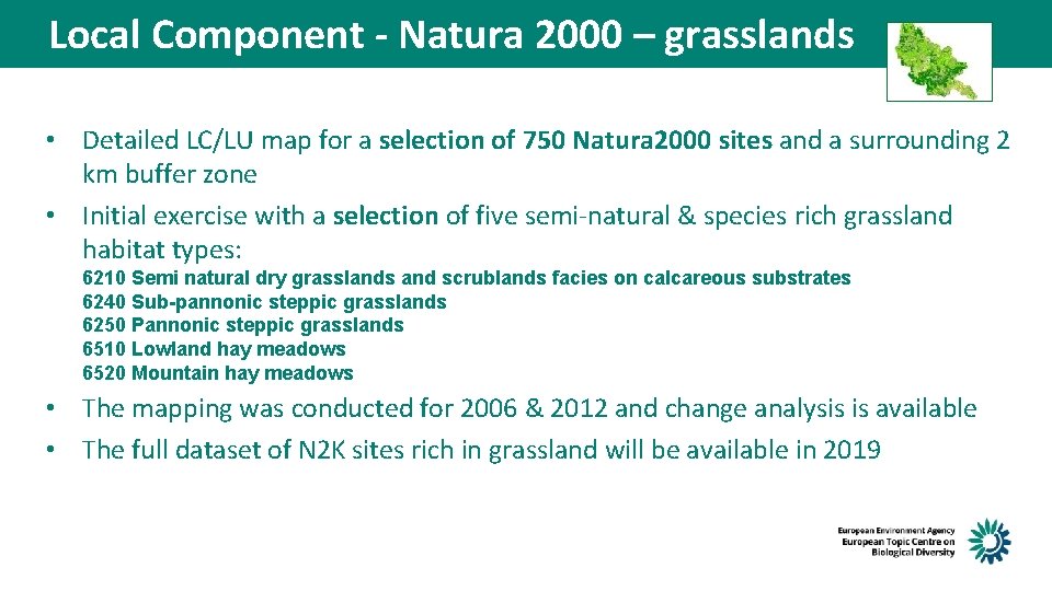 Local Component - Natura 2000 – grasslands • Detailed LC/LU map for a selection