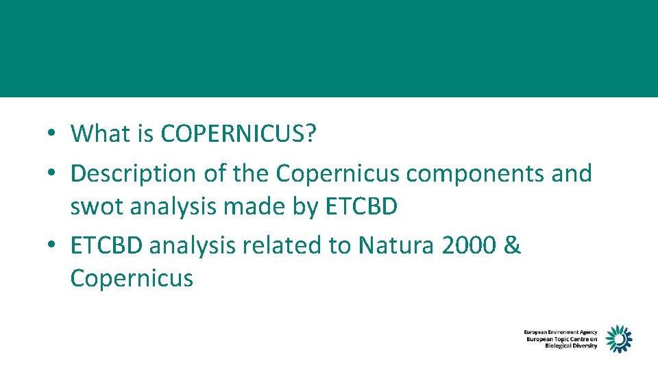  • What is COPERNICUS? • Description of the Copernicus components and swot analysis