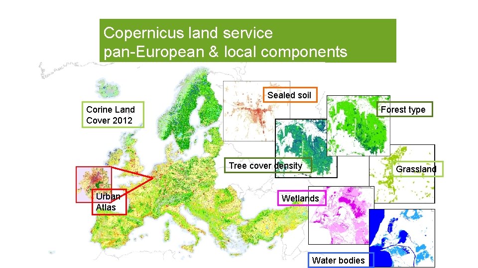 General info on Copernicus land service pan-European & local components Sealed soil Forest type