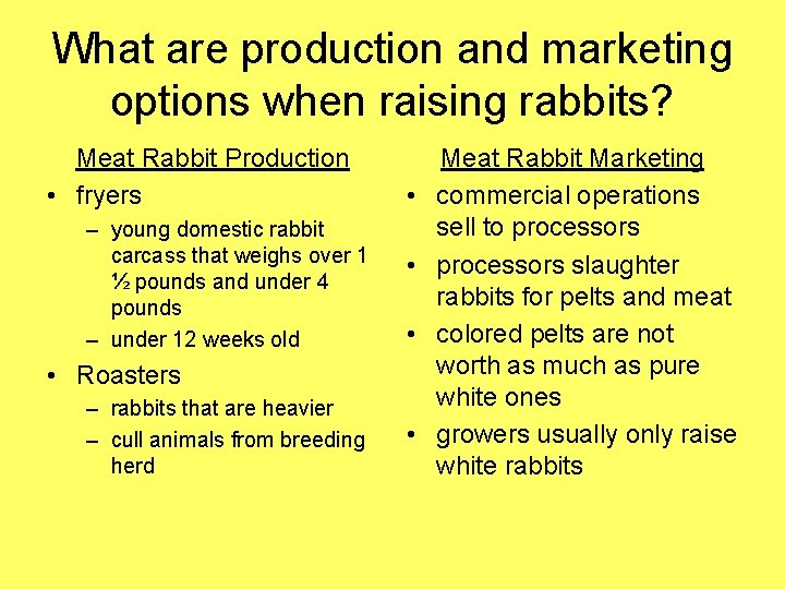 What are production and marketing options when raising rabbits? Meat Rabbit Production • fryers