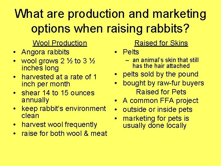 What are production and marketing options when raising rabbits? • • Wool Production Angora