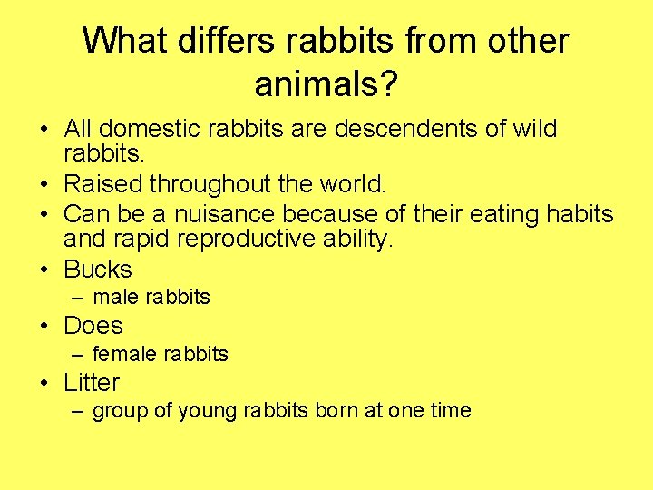 What differs rabbits from other animals? • All domestic rabbits are descendents of wild