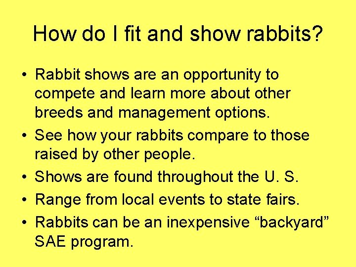 How do I fit and show rabbits? • Rabbit shows are an opportunity to