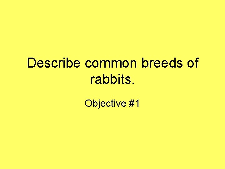 Describe common breeds of rabbits. Objective #1 