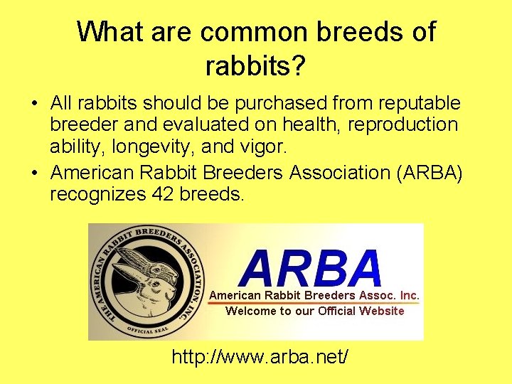 What are common breeds of rabbits? • All rabbits should be purchased from reputable