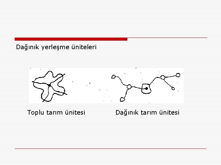 Dağınık yerleşme üniteleri Toplu tarım ünitesi Dağınık tarım ünitesi 