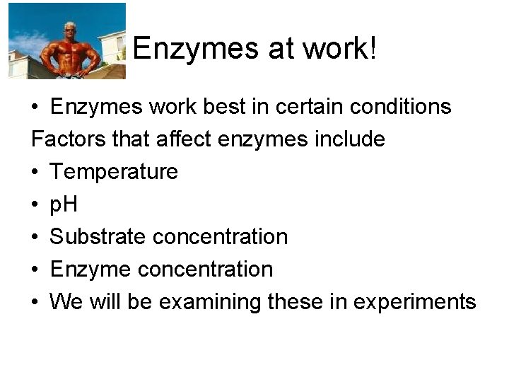 Enzymes Most reactions take place in a number