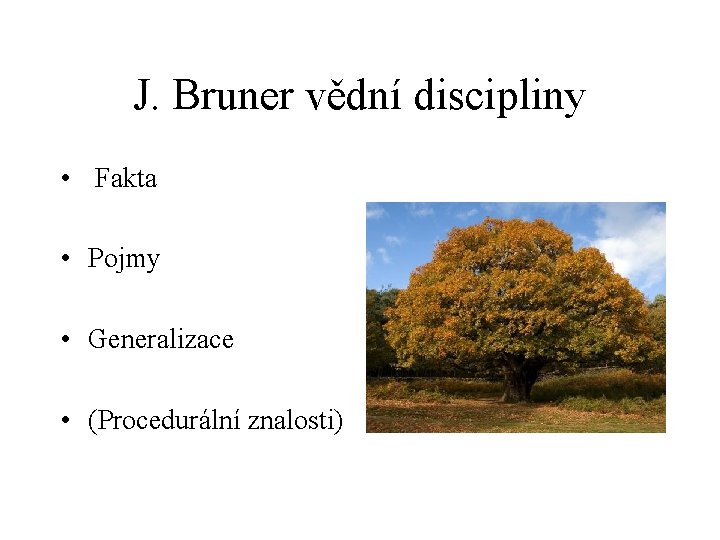 J. Bruner vědní discipliny • Fakta • Pojmy • Generalizace • (Procedurální znalosti) 