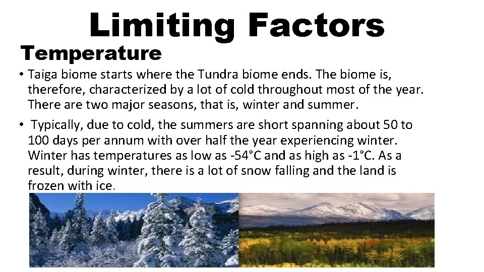 Limiting Factors Temperature • Taiga biome starts where the Tundra biome ends. The biome